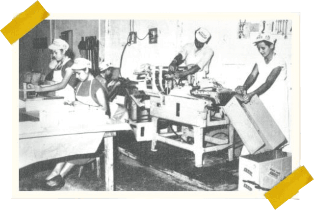 Diana History image