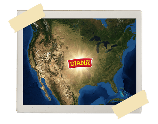 Diana History image